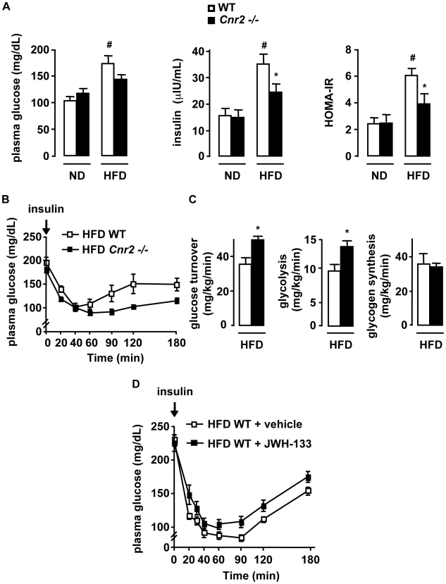 CB2 receptors potentiate insulin resistance in HFD-fed mice.A–C, Cnr2 knock-out reduces obesity-induced insulin resistance. WT and Cnr2 −/− mice were fed a ND or a HFD for 15 weeks A, Fasting glycemia, insulinemia, HOMA-IR; B, Blood glucose level during insulin tolerance tests in HFD-fed mice (p<0.05 by two way ANOVA). C, Hyperinsulinemic-euglycemic clamp in HFD-fed mice, as assessed by glucose turnover rate, whole body glycolysis and glycogen synthesis, following insulin stimulation. D, CB2 receptor activation increases insulin resistance. Blood glucose level during insulin tolerance tests in WT mice fed a HFD for 6 weeks and treated daily with an i.p injection of JWH-133 (3 mg/kg) or vehicle during the last 15 days of HFD (p<0.05 by two way ANOVA). * p<0.05 for HFD-fed Cnr2 −/− vs HFD-fed WT mice. # p<0.05 in HFD-fed WT vs ND-fed WT mice.