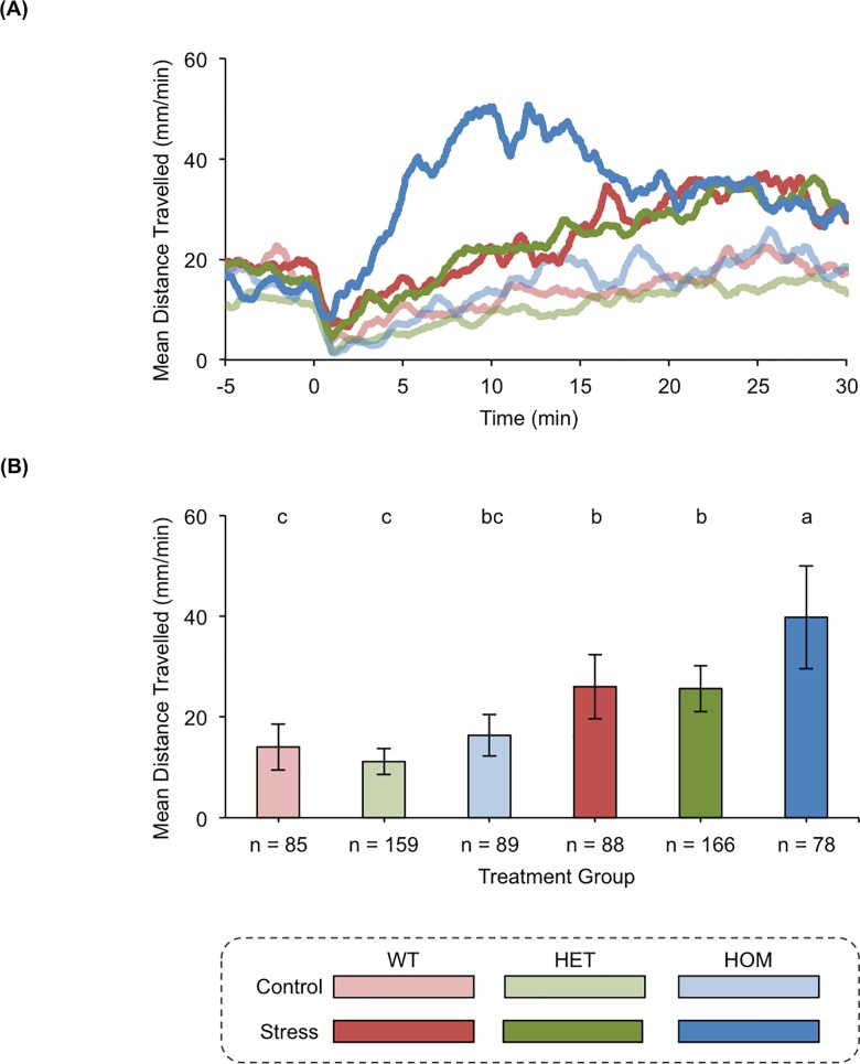 cnr1 modulates stress-associated behavior.(A) The rolling means of distances travelled by wild type (WT), heterozygous cnr1 (HET) mutant, and homozygous cnr1 (HOM) mutant zebrafish. The pre-treatment baseline locomotor activity was recorded from −15–0 min, and the post-treatment locomotor activity was recorded from 0–31 min. At time 0 the zebrafish were treated with either E2 media (Control) or E2 media + NaCl (Stress). The locomotor activity at each second is represented as a mean of the distance travelled during the preceding 60 s. (B) The means of distances travelled after the zebrafish were treated with E2 media (Control) or E2 media + NaCl (Stress). The locomotor activity of each group is represented as a mean of the distance travelled per min during the 5–25 min time bin ± 95% CI. Groups with all different letters above the columns are statistically different from each other, while groups with a conserved letter above the columns are not statistically different from each other (Tukey's honest significant difference test, P < 0.05).