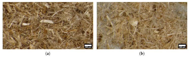 Hemp particles used in the present study; (a) short fibres (SF)–maximum length ≤ 2 mm (b) long fibres (LF)–maximum length ≤ 10 mm.