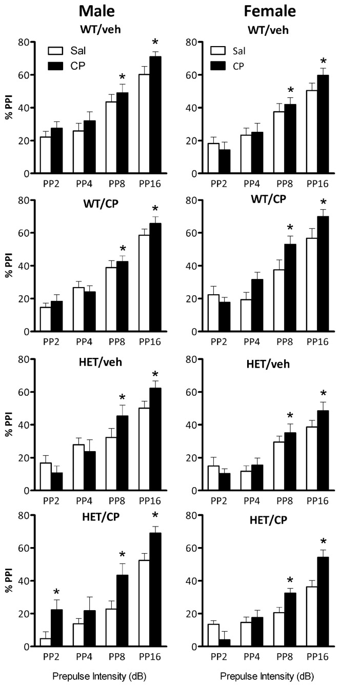 Percentage prepulse inhibition (PPI) expressed per prepulse intensity in the four treatment groups: WT/veh, WT/CP, HET/veh, and HET/CP in both sexes. All groups were administered saline (Sal; open bars) or 0.4 mg/kg CP55,940 (CP; black bars) PP2, PP4, PP8, and PP16 indicate prepulse intensities of 2, 4, 8, and 16 dB over the 70 dB background with a 100 ms interstimulus interval. Data are mean ± SEM. *P < 0.05 for difference with acute saline treatment based on ANOVA main effect (PP8 and PP16) or CP × genotype × pre-treatment interaction and pair-wise comparison (PP2).