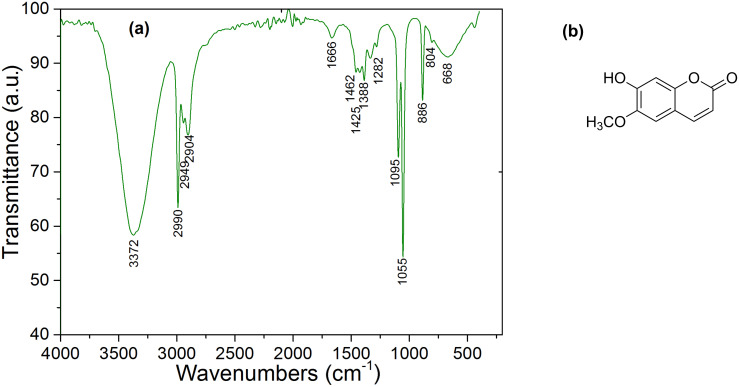 (a) FTIR spectrum of mallow. (b) Scopoletin molecule.