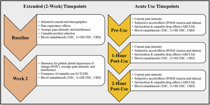 Study Timepoints and Outcomes for Acute Use and Two-week Observation Periods. This diagram details the participant study visits over the Two-week and at the Acute Use timepoints, including the actives and assessments completed at each visit.
