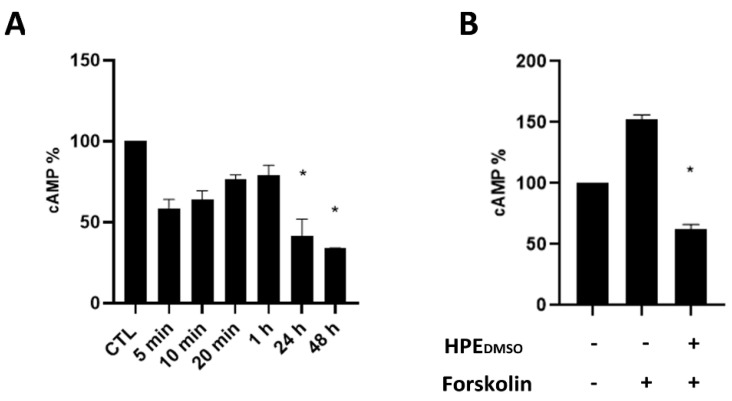 Determination of cAMP in cells treated with H. procumbens root extracted dissolved in DMSO (HPEDMSO). (A) Human primary synoviocytes (FLSs) were treated with 0.1 mg/mL of Harpagophytum procumbens root extract dissolved in DMSO (HPEDMSO), and after the indicated times, the amount of cAMP was determined by cAMP ELISA kit. (B) The amount of cAMP was determined in cells stimulated with forskolin for 20 min or in cells pre-treated with HPEDMSO for 1 h and then stimulated with forskolin for 20 min. * p < 0.05 vs. CTL.