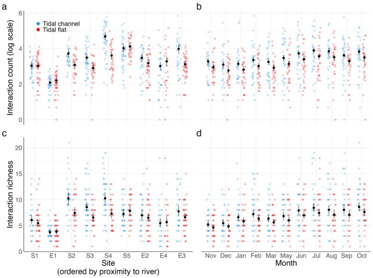 (a, b) The total number of interactions counted and (c, d) interaction richness (the number of unique interactions) observed in each network (quadrat size = 0.0625 cm2) across sites (ordered by distance to nearest freshwater source), month (beginning in 2019 and ending in 2020) and tidal position. Black points represent the GLM estimated marginal means, and the black lines the 95% confidence intervals.