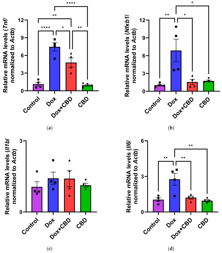 CBD suppressed neuroinflammatory response in the hippocampus of DOX-injected rats. Quantification of gene expression by qPCR. Relative mRNA expressions of Tnf (a), Nfkb1 (b), Il1b (c), Il6 (d), Tgfb1 (e), Il10 (f), GFAP (g), Aif1 (h) were measured. Real-time PCR results were standardized against Actb, and data are presented as mean ± SEM. n = 4/group; *, **, ***, ****: significant differences observed for p ≤ 0.05, p ≤ 0.01, p ≤ 0.001, p ≤ 0.0001 respectively (one-way ANOVA followed by Tukey’s post hoc test). DOX—doxorubicin; CBD—Cannabidiol; qPCR—real-time polymerase chain reaction; Tnf—tumor necrosis factor; Nfkb1—Nuclear factor kappa-light-chain-enhancer of activated B cells Subunit 1; Il1b—Interleukin beta 1; Il6—Interleukin 6; Tgfb1—Transforming growth factor beta 1; Il10—Interleukin 10; Aif1—Allograft inflammatory factor 1; Gfap—glial fibrillary acidic protein; Actb—beta actin. Some error bars may be too small to see on the chart.