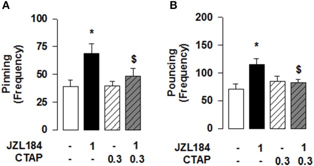 2-AG elevation stimulates social play via MOR in the NAcC in adolescent rats. Intra-NAcC infusion of the selective MOR antagonist CTAP (0.3 μg/0.3 μl) prevented the increase in pinning (A) and pouncing (B) induced by systemic treatment with JZL184 (1 mg/kg, i.p.). Data represent mean ± S.E.M. frequency of pinning and pouncing. *p < 0.05 vs. vehicle; $p < 0.05 vs. vehicle/JZL184 (Student-Newman-Keuls post-hoc test). N = 7–9 per treatment group.