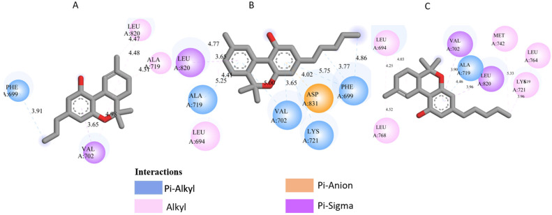 Molecular docking interactions of Cannabis sativa phytoconstituents with the EGFR (PDB ID: 1M17): (A) C5, (B) C6, and (C) C7.