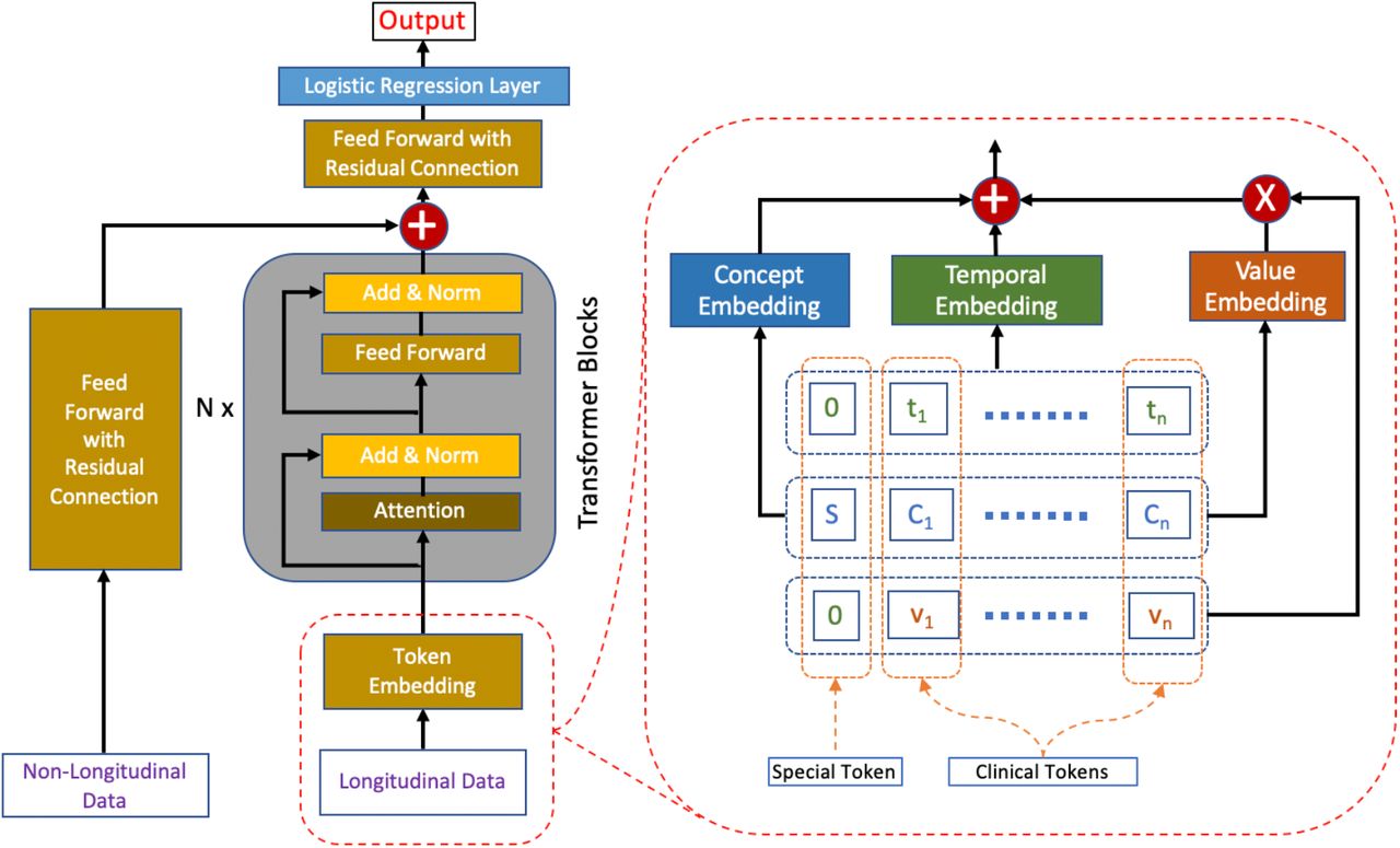 The HVAT architecture. The arrows indicate data flow directions. The left side (i.e., left to the words “Transformer Blocks”) is an overview of the HVAT architecture. The right side is a zoomed-in view of the part on the left side (enclosed by red dashed lines), which illustrates how the token embedding layer processes longitudinal data through three embeddings: concept embedding, temporal encoding, and value embedding.