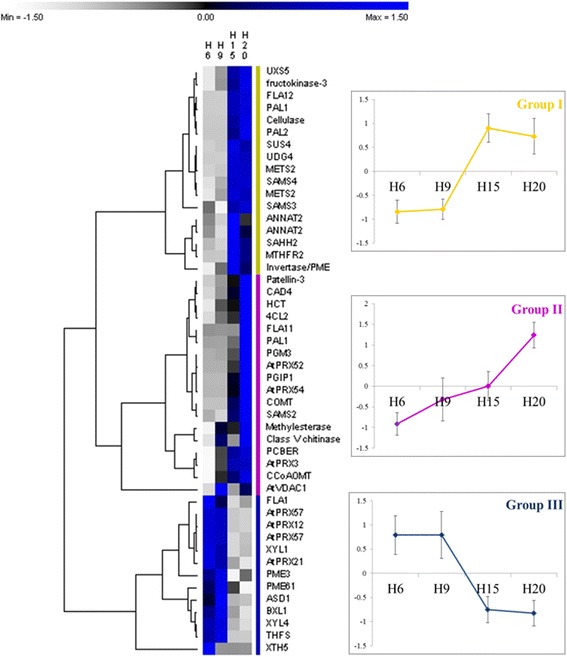 NSAF relative quantities of proteins involved in cell wall biogenesis assessed by LC-MS. The parameters of the hierarchical clustering are indicated in the Methods section. The values are given in Additional file 3. Abbreviations are as in the text. For each group, the average of the abundances as calculated for the hierarchical clustering was plotted (± standard deviation)
