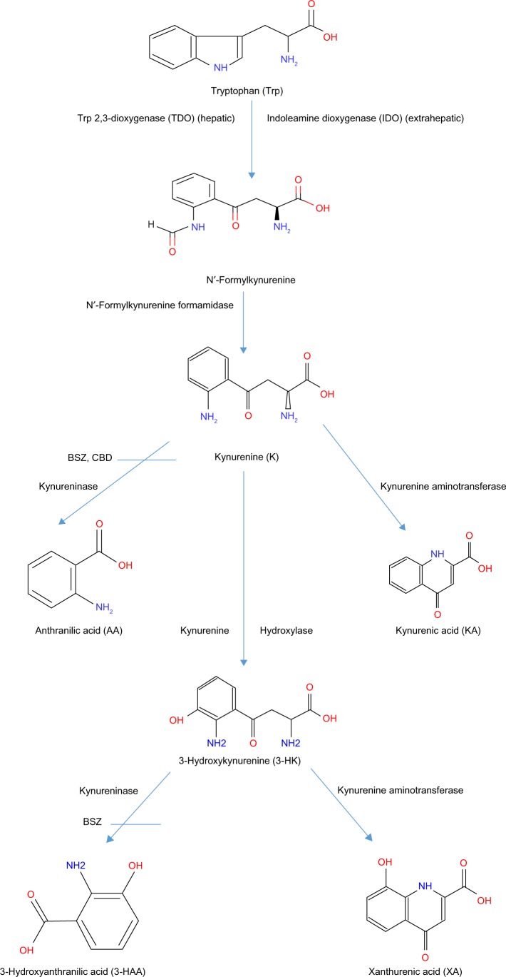The hepatic kynurenine pathway of tryptophan degradation up to the kynureninase step. Abbreviations are in parentheses. Benserazide (BSZ) and carbidopa (CBD) are shown as kynureninase inhibitors. Adapted from Ref. 1. Badawy AA-B, Bano S. Elevation of kynurenine metabolites in rat liver and serum: a potential additional mechanism of the alcohol aversive and anti-cancer effects of disulfiram? Alcohol Alcohol. 2016;51:20–5.1