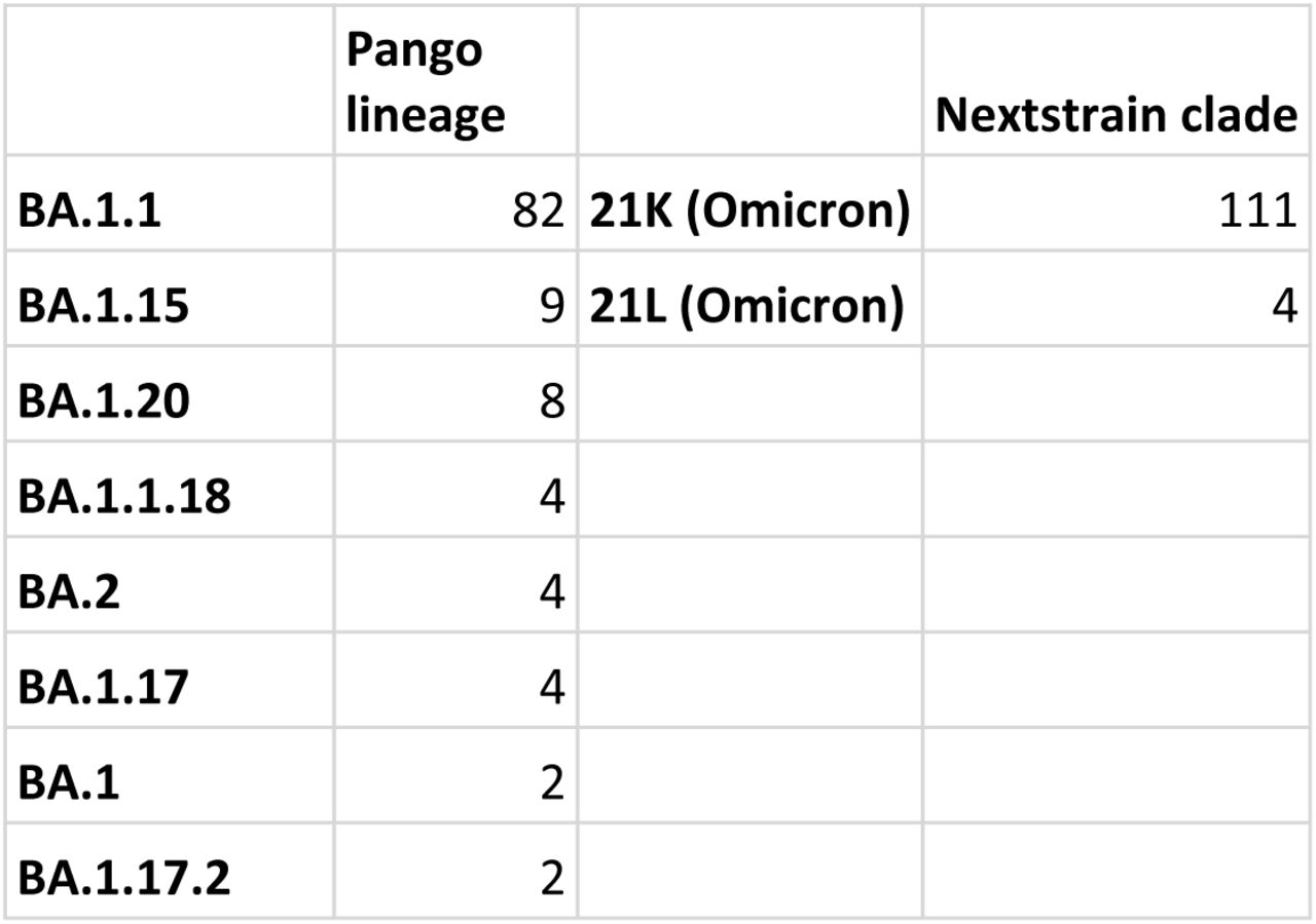 Number of samples in each Pango lineage and Nextstrain clade.