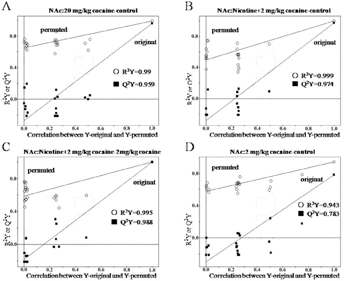 Validation plots of the PLS models after application of OSC in NAc.(A) control vs. 20 mg/kg cocaine; (B) control vs. nicotine +2 mg/kg cocaine; (C) 2 mg/kg cocaine vs. nicotine +2 mg/kg cocaine; (D) control vs. 2 mg/kg cocaine.