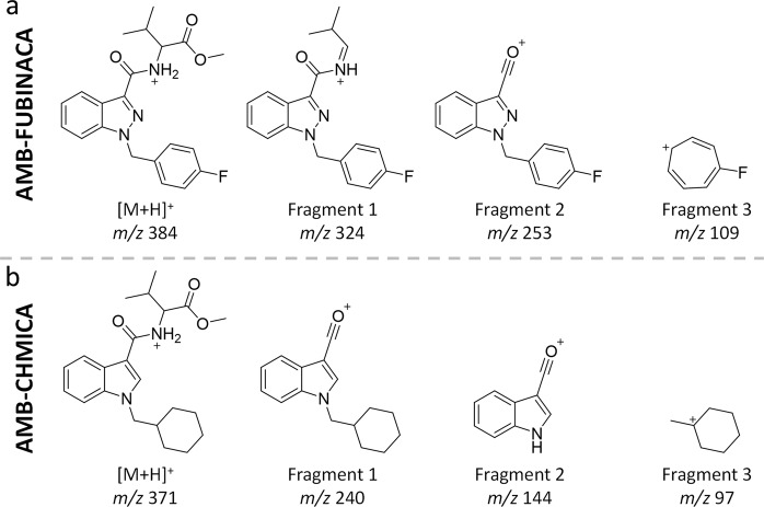 Proposed fragmentation for the two SCRAs.Proposed chemical structure for the accurate-mass fragments observed for a AMB-FUBINACA and b AMB-CHMICA. Below the proposed structure of each fragment ion it is displayed its corresponding m/z.