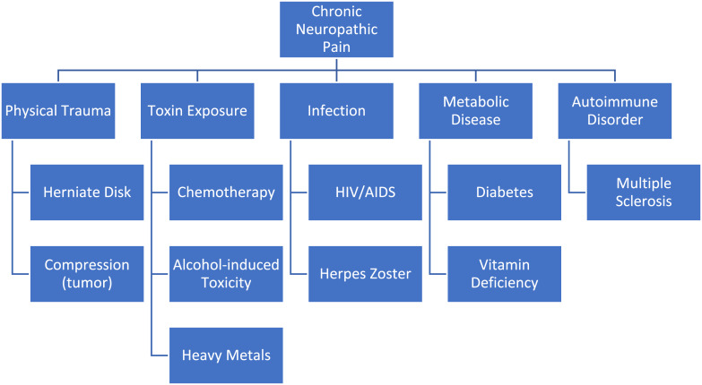 Causes of chronic neuropathic pain. Neuropathic pain arises from a direct lesion or disease of the somatosensory nervous system. Chronic neuropathic pain can result from physical trauma, toxin exposure, infection, metabolic disease, and/or autoimmune disorders. Adapted from text in [1, 49, 50].
