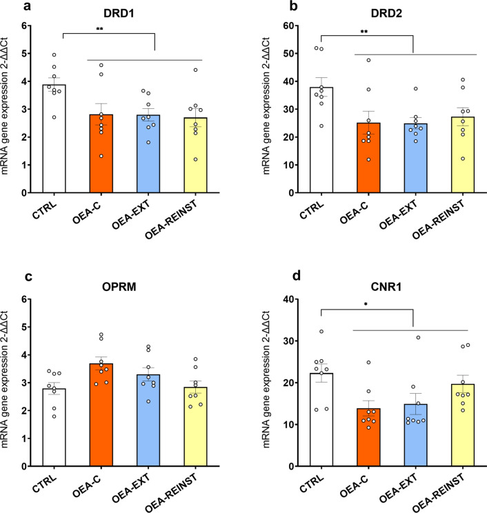 RT-PCR gene expression in the striatum (n = 8/condition). a Dopamine receptor D1 gene―DrD1, b Dopamine receptor D2 gene―DrD2, c Opioid receptor µ―Oprm. d Cannabinoid receptor 1―CNR1. The columns represent means and the vertical lines ± S.E.M of relative (2-ΔΔCt method) gene expression in the striatum of OF1 mice. * p < 0.05; ** p < 0.01 significant differences in OEA-treated mice with respect to the CTRL group