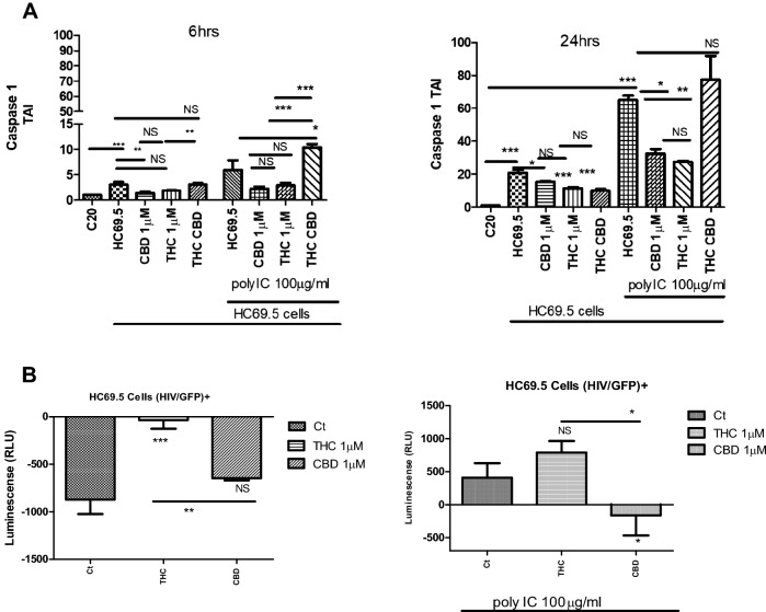 (A) Caspase 1 gene expression on HC69.5. HIV (GFP+) cells was assessed by RT PCR. H69.5 cells treated with/without 100 μg/ml Poly IC, 1 μM concentration of CBD or/and Δ (9)-THC. After 6 h and 24 h of treatments, RNAs were extracted, and reverse transcribed followed by real time PCR for Caspase 1 gene (Hs00354836_m1; Thermofisher Scientific). GAPDH (Hs99999905_m1) was used as a housekeeping gene. Data represent the means ± standard error of three independent experiments. Graph represents the transcript accumulation index respect to negative control C20. Data were analyzed using GraphPad Prism software. The normality distribution was evaluated by Kolmogorov–Smirnov test, while statistical significance was calculated by ANOVA and Tukey Multiple Comparison Test as a post hoc test. Differences were considered significant at p ≤ 0.05. (B) Caspase 1 Activation. HIV infection in HC69.5. HIV (GFP+) with and without 100 μg/ml poly IC and cells were treated with 1 μM of Δ(9)-THC or CBD. After 24 h. of treatment, Caspase 1 activation was analyzed using Caspase-Glo® 1 Inflammasome Assay kit (Promega; cat: G9951). (Ct = Control). GraphPad Prism 5 software was used to graph and conduct statistical analysis. Normality distribution was checked by the Kolmogorov–Smirnov test. Then, statistical significances (p ≤ 0.05) were calculated by ANOVA followed by Dunn ‘s as a post-hoc test.