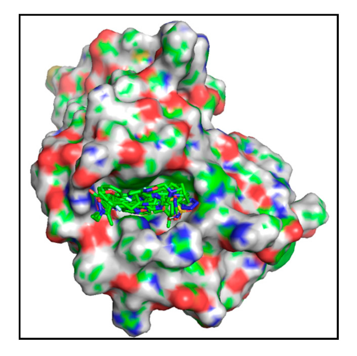 The protein complexes of PB2 CBD with active compounds. The active compounds are represented with colored stick models.