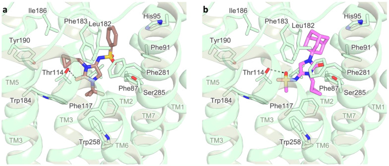 Docking poses of compounds 10b (brown, (a)) and 12a (pink, (b)) in the agonist conformation of the hCB2R receptor (PDB ID: 6KPC, light green cartoon). Residues lining the binding site are represented as capped sticks and labeled; transmembrane helices are numbered as TM1-7. Hydrogen bonds are represented as black dashed lines.