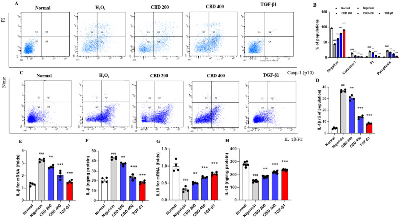 Protective effects of the CBD on the Pyroptosis signals and increases of IL-10. (A) Flow cytometry analysis of Pyroptosis and (B) its quantification analysis. (C) Flow cytometry analysis of IL-1β/F2 and (D) its quantification analysis. (E) mRNA expression levels of IL-1β and (F) protein levels of IL-1β/F2. (G) mRNA expression levels of IL-10 and (H) protein levels of IL-10. Data are expressed as mean ± S.E.M (n = 4 to 6 for each group). ##p < 0.01 and ###p < 0.001 vs. normal group; **p < 0.01 and ***p < 0.001 vs. H2O2 group.
