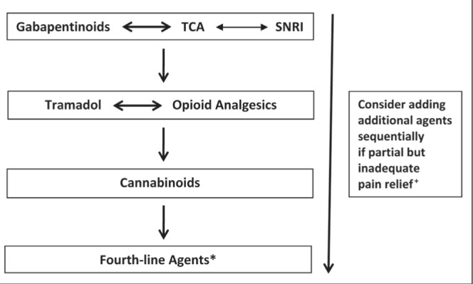 Algorithm for the pharmacological management of neuropathic pain. *Topical lidocaine (second line for postherpetic neuralgia), methadone, lamotrigine, lacosamide, tapentadol, botulinum toxin; +Limited randomized controlled trial evidence to support add-on combination therapy. TCA Tricyclic antidepressants; SNRI Serotonin noradrenaline reuptake inhibitors