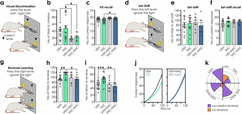 NAC prevents THC-induced cognitive flexibility impairments.a, d, g Schematics showing experimental design of the extra-dimensional set-shifting task. Rats were trained to press the lever above which a cue light was illuminated a. b NAC-treated rats acquired the association between pressing the illuminated lever and obtaining food reward faster than those drinking water (n: VEH = 14, THC = 16, VEH-NAC = 8; THC-NAC = 7). Two-way ANOVA: IP treatment: F(1,41) = 1.057, p = 0.31; oral treatment: F(1,41) = 9.682, p = 0.003; IP*oral treatment: F(1,41) = 0.03, p = 0.863; pairwise comparisons: VEH vs. VEH-NAC: p = 0.04; THC vs. THC-NAC: p = 0.028. c Next day, the recall of this learned association was improved with NAC treatment vs. THC exposed groups: Two-way ANOVA: IP treatment: F(1,41) = 0.551, p = 0.462; oral treatment: F(1,41) = 8.571, p = 0.006; IP*oral treatment: F(1,41) = 0.244; p = 0.624; pairwise comparisons: VEH vs. VEH-NAC: p = 0.086; THC vs. THC-NAC: p = 0.023. d Next, rats were required to press the lever on one side of the cage irrespective of the cue light. e The number of trials required to shift the strategy did not differ between groups. Two-way ANOVA: IP treatment: F(1,41) = 0.21, p = 0.649; oral treatment: F(1,41) = 0.001, p = 0.97; IP*oral treatment: F(1,41) = 0.773, p = 0.384. f Set-shifting memory recall the following day was not affected by any treatment condition: Two-way ANOVA: IP treatment: F(1,41) = 1.774, p = 0.19; oral treatment: F(1,41) = 1.067, p = 0.308; IP*oral treatment: F(1,41) = 0.777, p = 0.383. g However, changing the rule again to the opposite lever resulted in h increased numbers of trials required for the cognitive shift and i more errors committed by THC-exposed rats: Two-way ANOVA’s: #of trials: IP treatment: F(1,41) = 2.037, p = 0.161; oral treatment: F(1,41) = 1.426, p = 0.239; IP*oral treatment: F(1,41) = 5.294, p = 0.027; pairwise comparisons: VEH vs. THC p = 0.002; THC vs. THC-NAC p = 0.02; # of errors: IP treatment: F(1,41) = 2.284, p = 0.138; oral treatment: F(1,41) = 5.177; p = 0.028; IP*oral treatment: F(1,41) = 7.002, p = 0.011; pairwise comparisons: VEH vs. THC p < 0.001; THC vs. THC-NAC p = 0.001. j Average performance of rats during the reversal learning. Note the rightward shift in THC-exposed rats, reflecting more erroneous responses. This pathological error shift is prevented by NAC treatment. k Schematic summarizing the % of rats that successfully acquired the new cognitive strategy tactic. Note the profound deficit in THC treated cohorts and prevention in the NAC-treated cohorts.