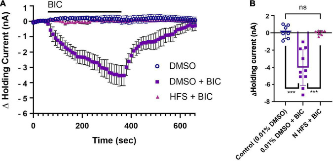 N cell HFS depresses tonic inhibition in the P cell. (A) A substantial shift in the P cell holding current is observed during 100 μM BIC application (DMSO + BIC group) compared to the control group that simply had the holding current monitored in vehicle control, saline with 0.01% DMSO (referred to as the DMSO group). Recall that the 0.01% DMSO in saline is applied 30 min prior to BIC application as a vehicle control experiment (see section “Materials and Methods” and Figure 1C). N cell HFS applied 30 min before BIC application (HFS + BIC) fully prevented the negative shift in P cell holding current in response to BIC and is shown to be overlain on the control group that did not receive BIC. (B) When comparing the peak change in holding current during BIC bath-application, changes in holding current were significantly reduced in the HFS + BIC group compared to the only DMSO + BIC group (*** indicates p < 0.0001). No difference in peak current was observed between the N cell HFS + BIC group and the DMSO group. All data is shown as mean ± SE.