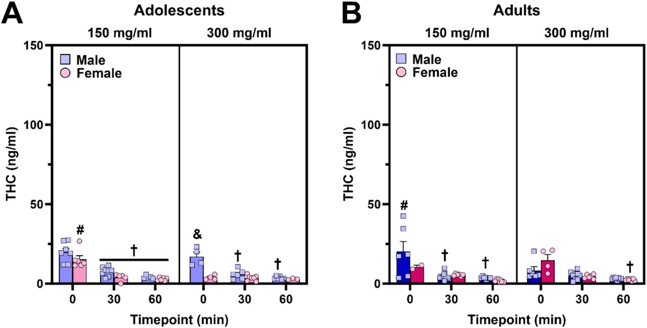 Time course of plasma THC and metabolites following 30-min vapor exposure session with PG/VG as the solvent. (A,B) Plasma THC levels when mice were exposed to cannabis dissolved in PG/VG showed time-dependent decreases (post-hoc: †p<0.05, vs. 0 min timepoint within age, sex, and dose), although this was not present in all groups at both doses. There were unexpected dose-dependent decreases in plasma THC when comparing CAN150 and CAN300 groups (post-hoc: #p<0.05, vs. CAN300 within sex, age, and timepoint). Adolescent male mice exposed to 300 mg/ml cannabis vapor reached higher plasma THC levels relative to their female counterparts at the 0 min timepoint (post-hoc: &p<0.01, vs. adolescent females at the 0 min timepoint).