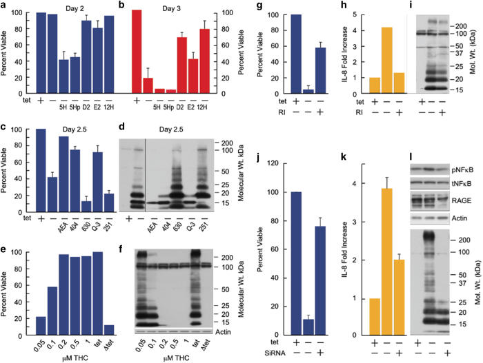 Eicosanoids, endocannabinoids and RAGE modulate Aβ toxicity. MC65 cells induced (Δtet) to make Aβ in the presence or absence of the indicated compounds and cell viability and/or intracellular Aβ levels monitored at day 2 or 2.5 following induction. 5H (5-HETE, 500 nmol/l); 5Hp (5-HETE peroxide, 500 nmol/l); 12H (12 HETE, 500 nmol/l); D2 (PGD2, 500 nmol/l); E2 (PDE2, 10 μmol/l); AEA (arachidonoyl ethanolamide, 1 μmol/l); THC (tetrahydrocannabinol, 50 nmol/l); Q-3 (Q-3 carboxamide, 100 nmol/l); 404 (AM404, 1 μmol/l); 630 (AM630, 10 nmol/l); 251 (AM251, 1 μmol/l). (a) Cell viability at 2 days; (b) cell viability at 3 days; (c) cell viability at 2.5 days; (d) Aβ at 2 days; (e) THC dose response, cell viability; (f) THC dose response, intracellular Aβ at 2 days. (g) MC65 cells were incubated with or without the RAGE inhibitor (RI) FPS-ZMII (1 μmol/l) with (+) and without (−) tet. Cell viability assayed on day 4 (h) The amount of IL8 assayed on day 3 following Aβ induction. (i) Aβ expression was monitored on day 3 (j) Cells were treated with RAGE siRNA or control siRNA and cell viability assayed after 2 days. (k) IL-8 was assayed on day 3, (l) Phospho NFkB, RAGE and Aβ expression were assayed on day 3. Aβ, beta amyloid; SiRNA, small interfering RNA.