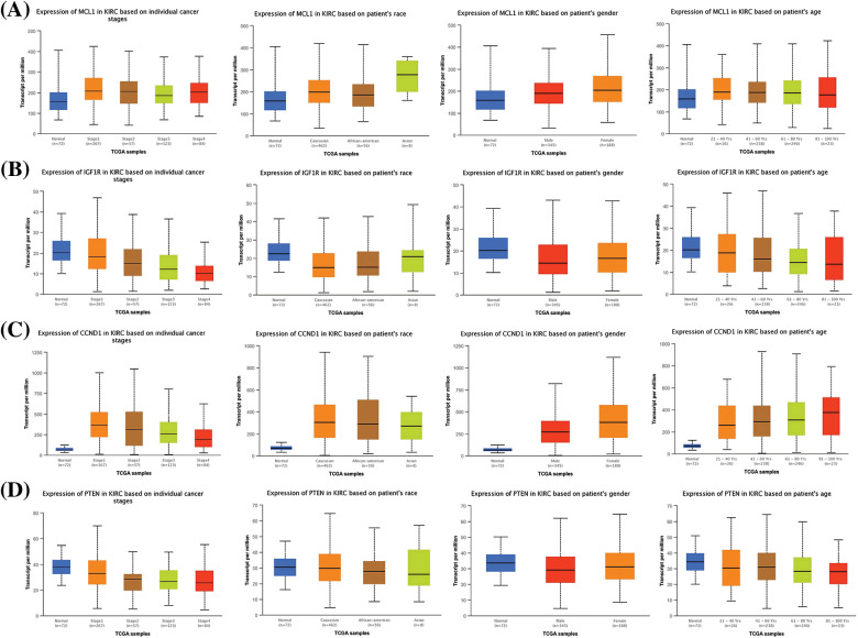 Expression profiling of MCL1, IGF1R, CCND1, and PTEN in KIRC samples of different clinical variables relative to controls via UALCAN. (A) Expression profiling of MCL1 in KIRC samples of different clinical variables, (B) expression profiling of IGF1R in KIRC samples of different clinical variables, (C) expression profiling of CCND1 in KIRC samples of different clinical variables, and (D) expression profiling of PTEN in KIRC samples of different clinical variables.