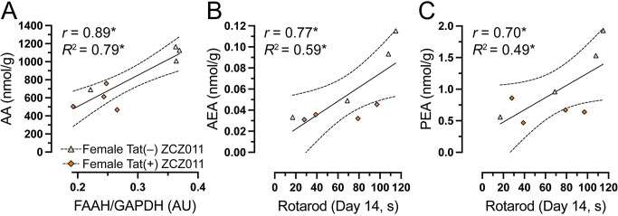Relationship between endocannabinoid system and motor coordination in female Tat transgenic mice following chronic ZCZ011 treatment.Pearson correlation analysis were followed by simple regression analysis in female Tat(–) and Tat(+) mice to explore the relationship between AA and FAAH expression and between endocannabinoids and related lipids and rotarod performance. (A) A significant positive correlation was noted for female with higher AA levels being associated with higher FAAH expression. A significant positive correlation was also seen with higher levels of (B) AEA and (C) PEA levels being associated with improved rotarod performance on Day 14 in both Tat(–) and Tat(+) female mice. *p < 0.05.