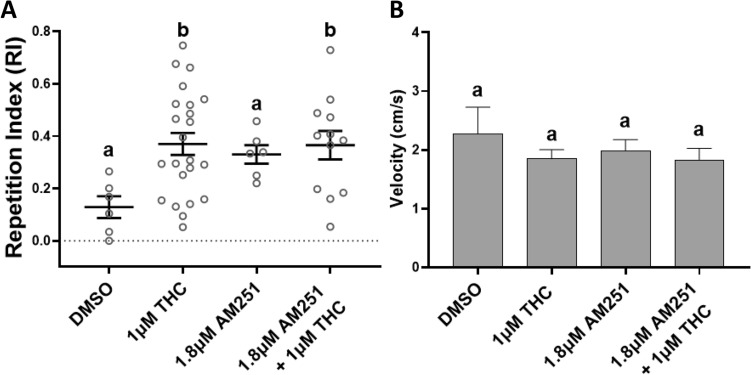 Co-administration of Tetrahydrocannabinol (THC) and the inverse CB1R agonist AM251 did not significantly reduce the THC-induced behavioral stereotypy in adult zebrafish. (A) At 1.8 μM AM251 with 1 μM THC the THC-induced Repetition Index (RI), calculated as a mean ± SEM, was statistically different from the controls (DMSO) (*p = 0.0279). (B) Nor did AM251 and THC co-administration affect the swimming velocity during exposure. Controls (1% DMSO, n = 6), 1 μM THC (n = 23), 1.8 μM AM251 (n = 6) and 1.8 μM AM251 + 1 μM THC (n = 12). Values without a letter in common are statistically different to the control condition (p < 0.05, One-way ANOVA and Dunnett's multiple comparisons tests for (A) and Kruskal–Wallis and Dunn's multiple comparisons test for (B)).