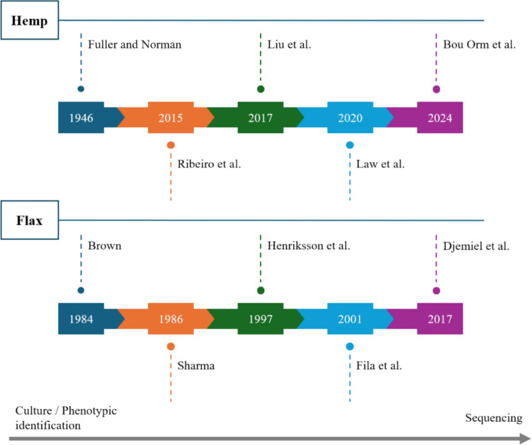 Chronological timeline of the main publications on hemp and flax field retting
