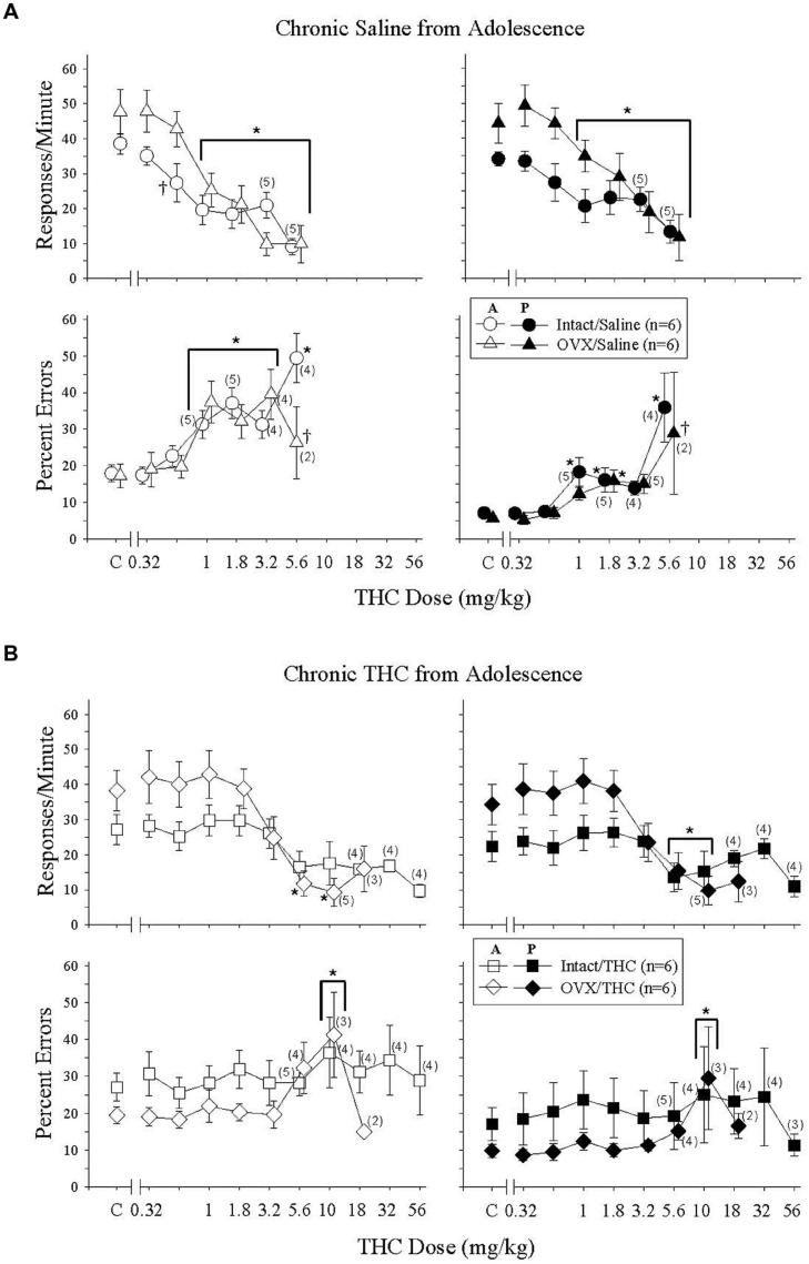 Acute effects of Δ9-THC in intact and OVX females that received either saline (A) or 5.6 mg/kg of Δ9-THC (B) daily from adolescence to sacrifice and that were responding under an acquisition and performance procedure. Data points and vertical lines above C in each panel indicate the grand mean and SEM for 6–20 saline (control) injections. Asterisks alone or in combination with brackets indicate significant differences between particular doses of Δ9-THC and acute saline (control) injections, whereas a cross indicates a significant difference between hormone groups at a particular dose. For additional details, see legend for Figure 3.