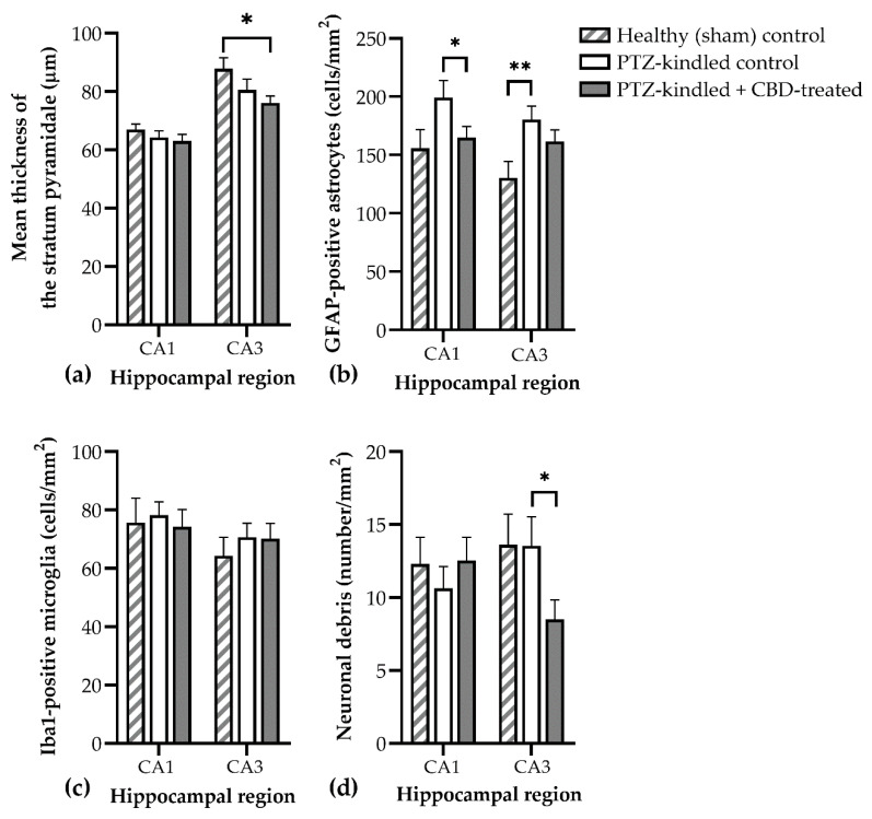 Effects of chronic CBD (60 mg/kg body weight) treatment on the hippocampal reorganization induced by PTZ-kindling in rats. (a) Mean thickness of the pyramidal cell layer; (b) the density of GFAP-positive astrocytes; (c) the density of IBA1-positive microglia; (d) the density of neuronal debris, defined as NeuN-positive fragments surrounded by astrocytes. Data are expressed as mean ± SEM (n = 5–8).; CBD, cannabidiol; * p < 0.05; ** p < 0.01.