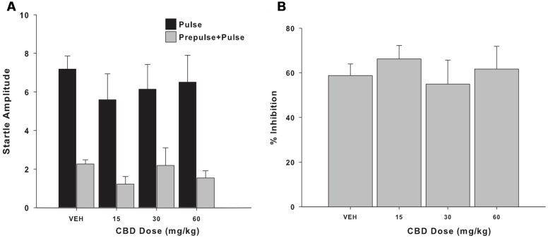 (A) Mean (+SEM) startle amplitude of the capuchin monkeys (n = 5) in the pulse (black bars) and prepulse-pulse trials (gray bars) following the vehicle (VEH) and the three CBD treatments (15, 30, and 60 mg/kg). (B) Mean (+SEM) percentage of prepulse inhibition (PPI) of the capuchin monkeys (n = 5) following the vehicle (VEH) and the three CBD treatments (15, 30, and 60 mg/kg).