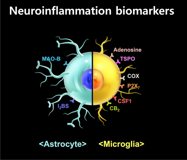 Types of microglia and astrocyte-based biomarkers for evaluating neuroinflammation
