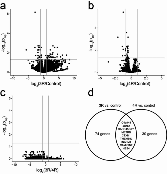 Effect of 3R and 4R tau uptake on astrocyte transcriptome. Volcano plots showing differentially expressed genes between 3R and control (A), 4R and control (B), and 3R and 4R (C). Genes differentially expressed in both 3R and 4R are shown in (D). Grey lines in (A) – (C) indicate cutoffs of adjusted p-value > 0.05 (horizontal) and absolute fold change > 2 (vertical)