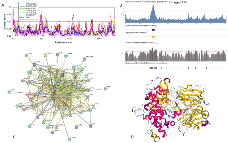 Structural and functional characterization of human prolyl endopeptidase (UniProt ID: P48147). (A) Intrinsic disorder profile generated by RIDAO. (B) FuzDrop output. (C) PREP-centered PPI network generated by STRING. This network was generated using the custom confidence value of 0.400 for the minimum required interaction score. (D) X-ray crystal structure of human prolyl endopeptidase (PDB ID: 3DDU).