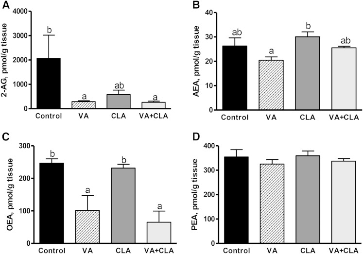 EC (A, B) and N-acylethanolamine (C, D) concentrations in VAT of JCR:LA-cp rats following dietary supplementation with VA, CLA, or VA+CLA. Values are mean ± SEM, represented by vertical bars (n = 5). Means without a common letter differ (P < 0.05).