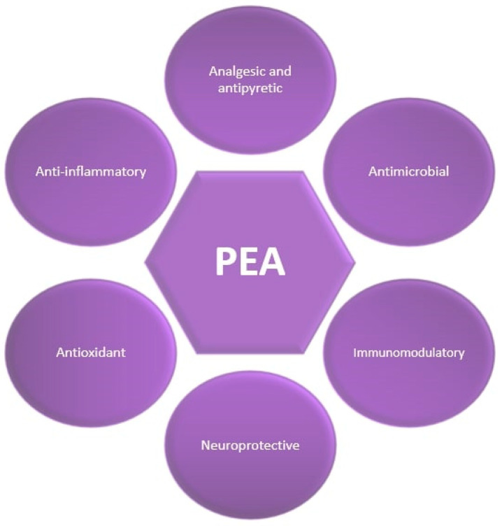 Beneficial effects of Palmitoylethanolamide (PEA).