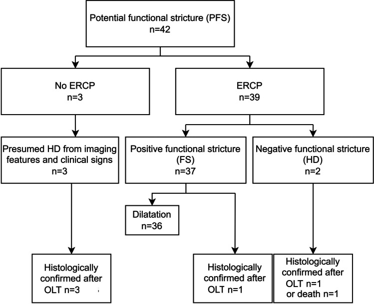 Flowchart shows ERCPs, the gold standard, performed in patients with a potential functional stricture. Histopathologic confirmation of HD was obtained in five patients. As well, the one patient who was suspected of having FS, but had no ERCP, had FS confirmation after OLT