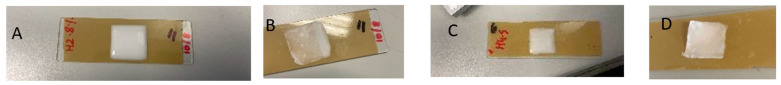 Effect of PEG concentration on the morphology of 3D-printed films before and after drying. (A) Film printed with 10% PEG before drying; (B) film printed with 10% PEG after drying; (C) film printed with 5% PEG before drying; (D) film printed with 5% PEG after drying.