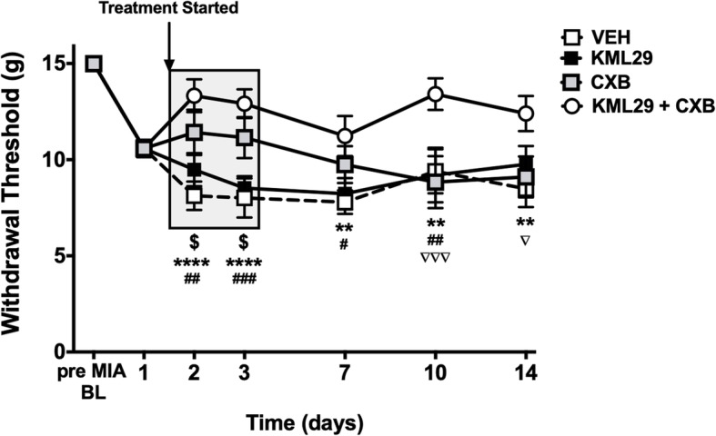 Early treatment with KML29 and celecoxib combination prevents MIA-induced secondary allodynia. Early treatment with combination of KML29 and CXB, given on days 1–3 post-MIA induction, significantly improve the hindpaw withdrawal threshold over the 14-day development of the model (P < 0.0001; two-way ANOVA with Tukey post hoc test; $P < 0.05, ****P < 0.0001, **P < 0.01, *P < 0.05, ###P < 0.001, ##P < 0.01, #P < 0.05, ∇∇∇P < 0.001, ∇P < 0.05; n = 8–10), compared to either treatment alone or vehicle. Data are mean values ± SEM. ANOVA, analysis of variance; BL, baseline; CXB, celecoxib; MIA, sodium monoiodoacetate; VEH, vehicle; *post hoc comparison between KML29 + CXB and vehicle; #post hoc comparison between KML29 and KML29 + CXB; $post hoc comparison between CXB and vehicle; ∇post hoc comparison between CXB and KML29 + CXB