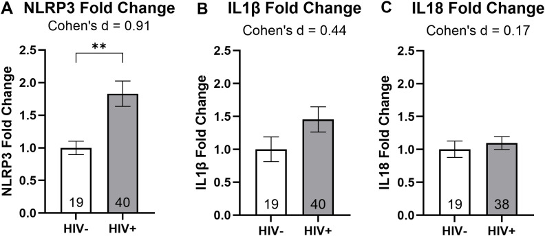 Bar graphs comparing NLRP3, IL1β, and IL18 fold changes between HIV-negative and HIV-positive groups. Graph A shows a significant increase in NLRP3 for HIV-positive individuals. Graph B shows a slight increase in IL1β with a small effect size. Graph C shows no significant change in IL18. Cohen's d values are 0.91, 0.44, and 0.17, respectively. Bars indicate sample sizes and error margins.