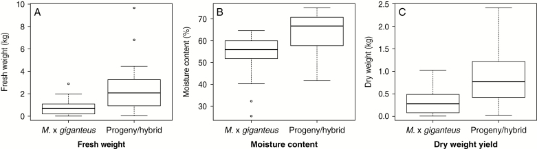 Box plots comparing control M.×giganteus and an F1 progeny/hybrid for fresh weight (A), moisture content (B) and dry weight yield (C) per plant of the second-year growth.