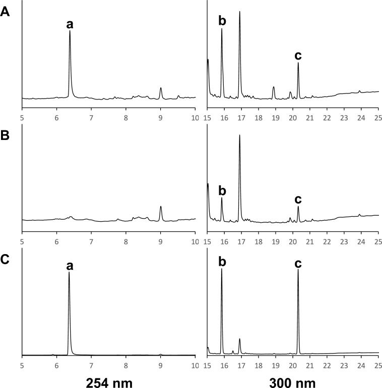 Chromatograms of the acetonitrile solution (A) and DMSO solution (B) in the midget impingers of NPB-22 and the mixed standard solution of NPB-22, 8-quinolinol, and pentyl indazole 3-carboxylic acid (C). The peaks are as follows: a, 8-quinolinol; b, pentyl indazole 3-carboxylic acid; c, NPB-22. Liquid chromatography is performed according to the method in this paper