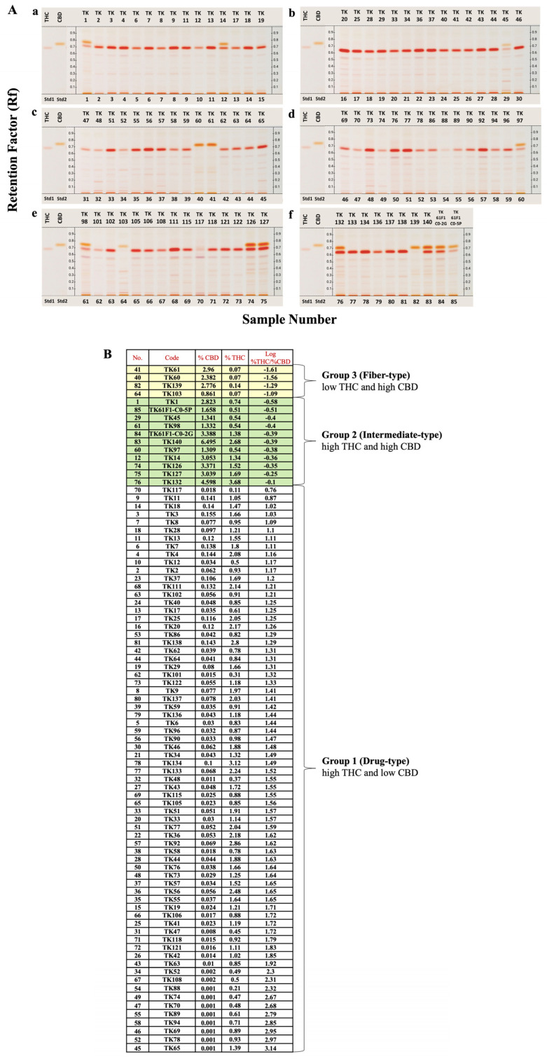 (A) HPTLC chemical profile of Cannabis 85 cultivars on 6% diethylamine in toluene mobile system. Y-axis represented RF value. Standards THC and CBD are shown on the left-hand side of each plate. Lanes 1 to 85 are Cannabis samples (TK1 to TK61F1-CO-5P);(a) Lanes 1 to 15 (TK1 to TK19); (b) Lanes 16 to 30 (TK20 to TK46); (c) Lanes 31 to 45 (TK47 to TK65); (d) Lanes 46-60 (TK69 to TK97); (e) Lanes 61 to 75 (TK98 to TK127); (f) Lanes 76-85 (TK132 to TK61F1-CO-5P). Application volume for all lanes is 3 μL. (B) Calculated THC and CBD contents and their %THC/%CBD ratios based on UPLC analysis.