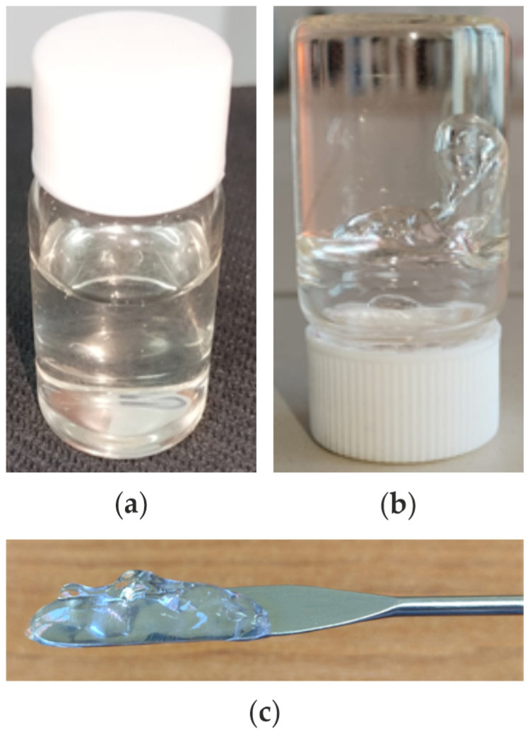 Macroscopic appearance of the HA-Ag-CBD hydrogel in liquid (a) and gelled (b,c) states: (a) hydrogel in its liquid form prior to gelation, demonstrating ease of handling and injectability; (b,c) hydrogel after sol-to-gel transition at 37 °C, showing the stable, self-supporting gel structure suitable for topical applications. Ag: Silver; CBD: Cannabidiol; HA: Hyaluronic acid.