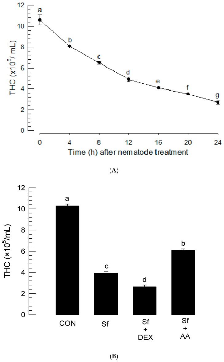 Suppression of total hemocyte counts (THC) of P. xylostella larvae infected with S. feltiae K1. (A) Temporal change of THC after the nematode infection. Fourth instar larvae of P. xylostella were treated with 80 IJs per larva. (B) Rescue effect of arachidonic acid (‘AA’, 10 μg/larva) or dexamethasone (‘DEX’, 10 μg/larva) addition on THC. Test chemicals were injected just before nematode (‘Sf’) treatment (80 IJs/larva). THC was assessed at 16 h after the nematode treatment. Each treatment was replicated three times. Different letters above standard error bars indicate significant difference among means at Type I error = 0.05 (LSD test).