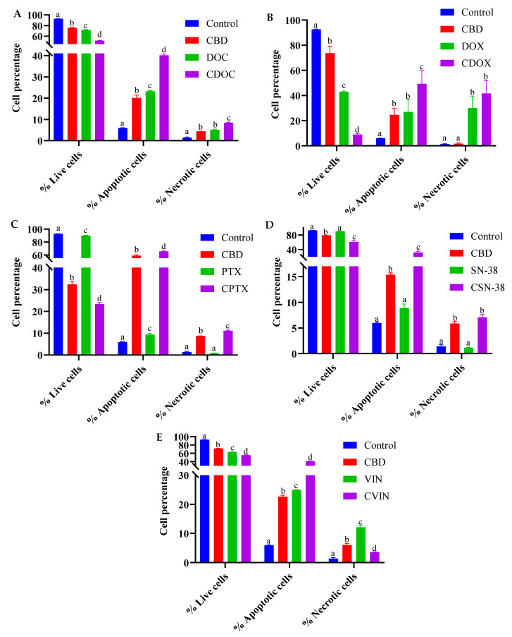 Cell percentage analysis of MCF7 cells after 24 h of treatment with cannabidiol, chemotherapeutic drugs, and their synergistic combinations (A-E). CBD = cannabidiol: DOC = docetaxel: DOX = doxorubicin: PTX = paclitaxel: SN−38: VIN = vinorelbine. (A) CDOC = CBD (39.75 µM) + DOC (0.5 µM), (B) CDOX = CBD (38.42 µM) + DOX (0.2 µM), (C) CPTX = CBD (64.60 µM) + PTX (0.1 µM), (D) CSN−38 = CBD (42.45 µM) + SN−38 (0.11 µM), (E) CVIN = CBD (42.4 µM) + VIN (0.1 µM). Superscript letters indicate statistical significance derived from two-way ANOVA and Tukey’s multiple comparisons within the same cell group, where different letters are statistically significant at p < 0.05 (n = 3). Raw data are available in Table S3.